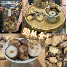 統級茶菇（300 克,約46-50粒）