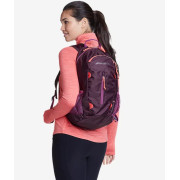 [美國代購] Eddie Bauer Stowaway Packable 20L Backpack 可收納背囊