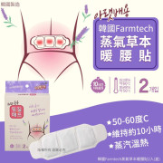 韓國 Farmtech 蒸氣草本暖腰貼(1套3盒)