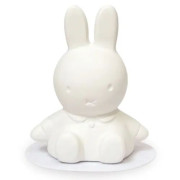 [日本直送] Miffy 擴香石